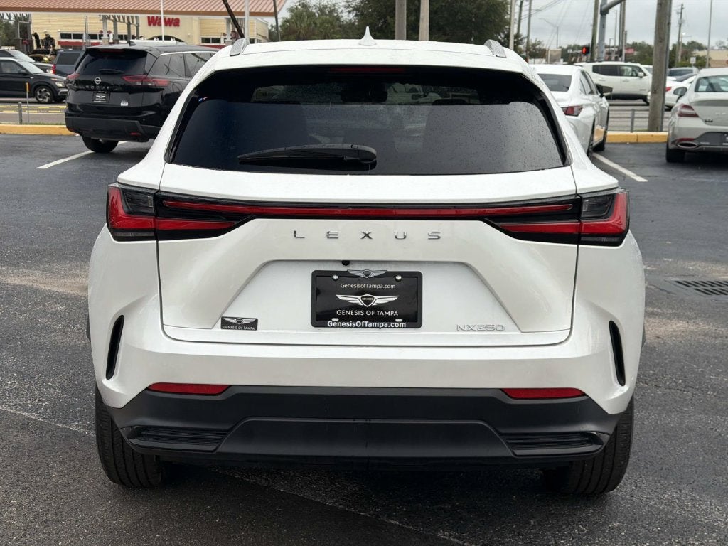 2024 Lexus NX 250 Base