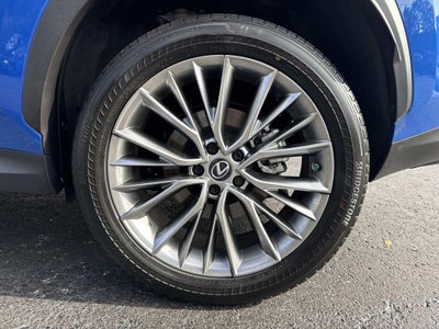 2022 Lexus NX 350h Luxury