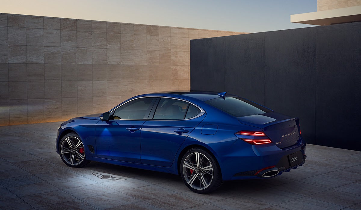 Genesis of Tampa in Tampa FL