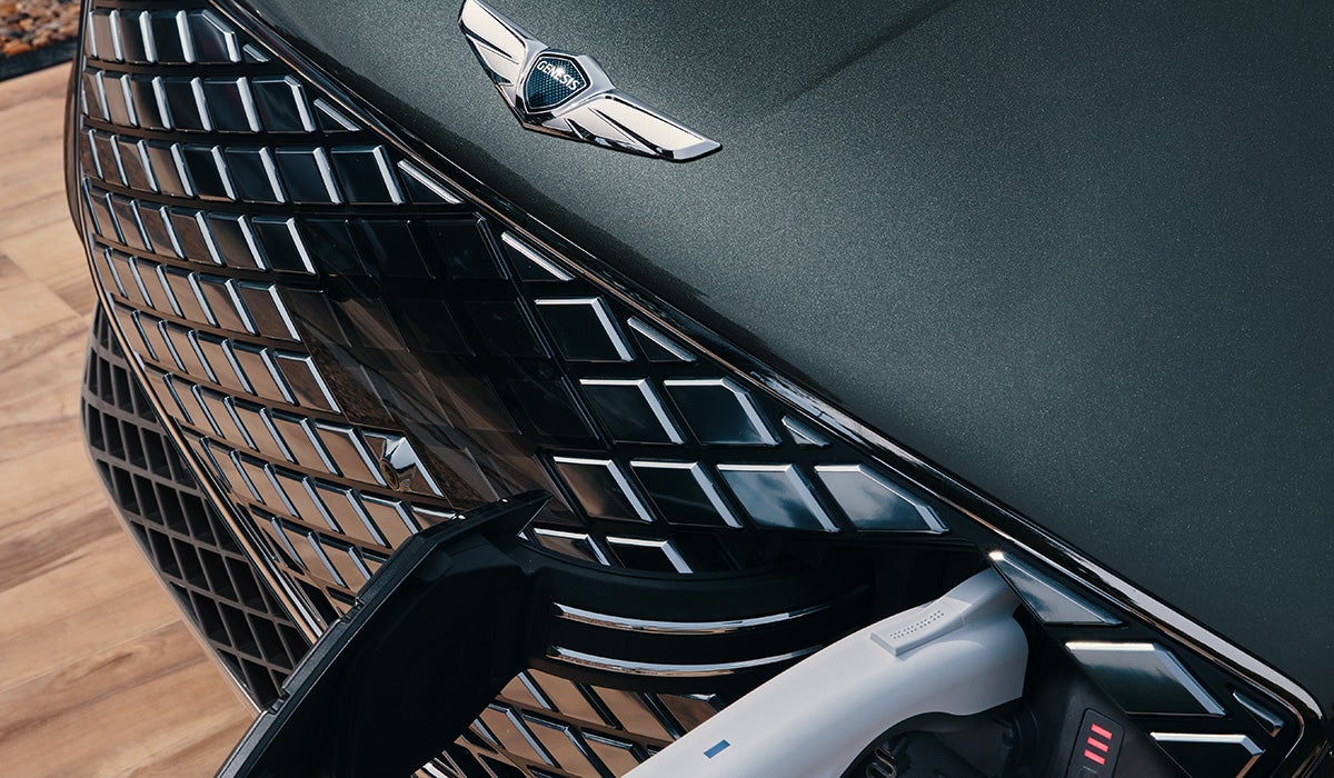 Genesis of Tampa in Tampa FL