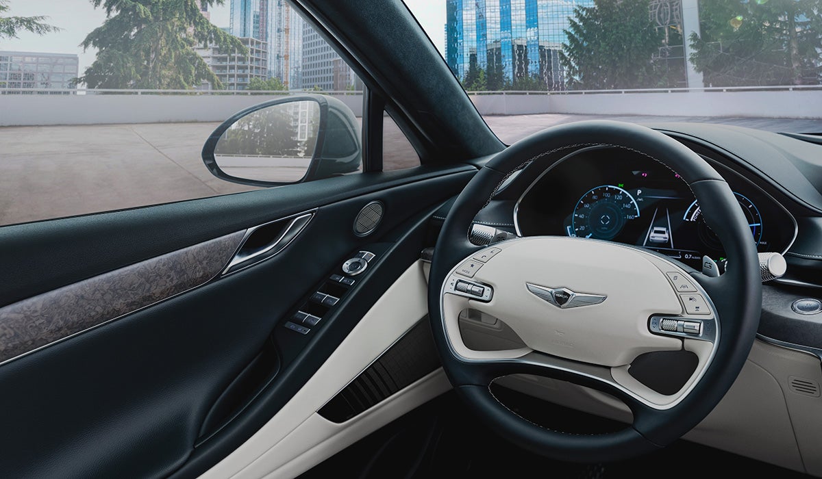 Genesis of Tampa in Tampa FL